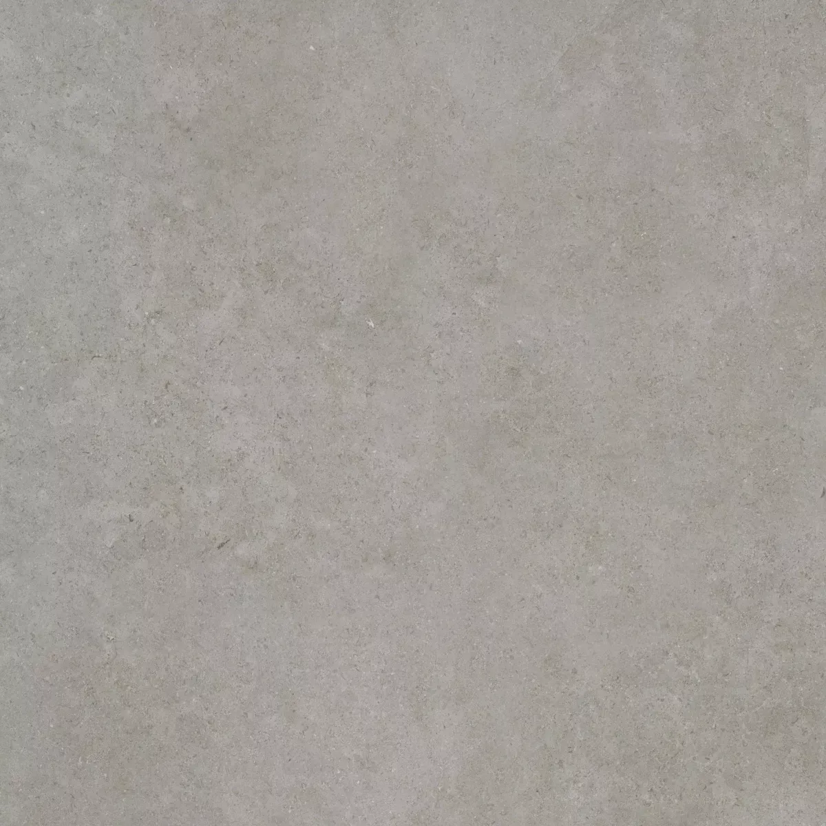 Cerasolid Cortona 60x60x3 Silver